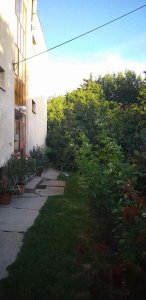 ALSÓRÁKOSON I. emeleti 49 nm-es LAKÁS ELADÓ